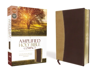 Amplified Bible-Am-Compact: Captures the Full Meaning Behind the Original Greek and Hebrew (Imitation Leather)