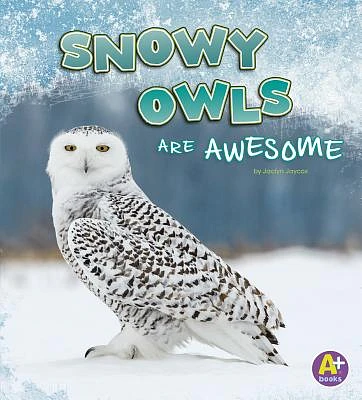 Snowy Owls Are Awesome (Polar Animals) (Paperback)