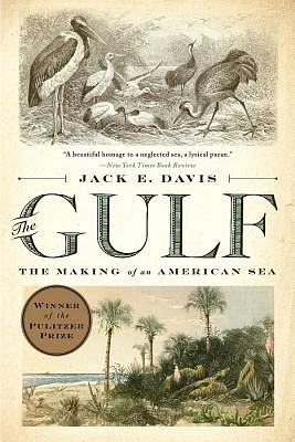 The Gulf: The Making of An American Sea (Paperback)