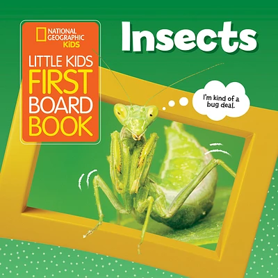 National Geographic Kids Little Kids First Board Book: Insects (First Board Books) (Board book)