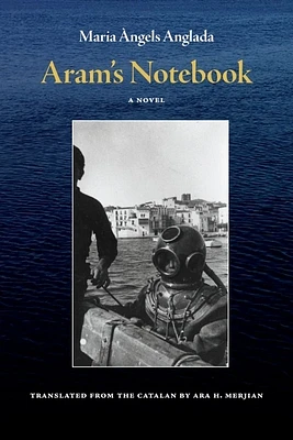 Aram's Notebook (Paperback)