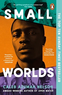 Small Worlds (Paperback)