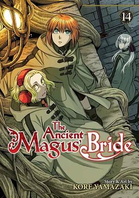 The Ancient Magus' Bride Vol. 14 (Paperback)