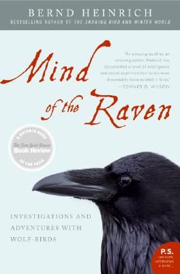 Mind of the Raven: Investigations and Adventures with Wolf-Birds (Paperback)