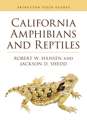 California Amphibians and Reptiles (Princeton Field Guides #165) (Paperback)