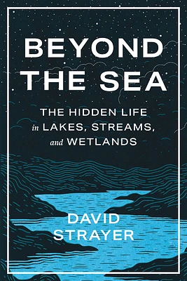 Beyond the Sea: The Hidden Life in Lakes, Streams, and Wetlands (Hardcover)