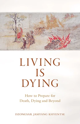 Living Is Dying: How to Prepare for Death, Dying and Beyond (Paperback)