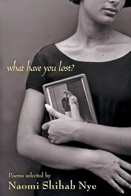 What Have You Lost? (Paperback)