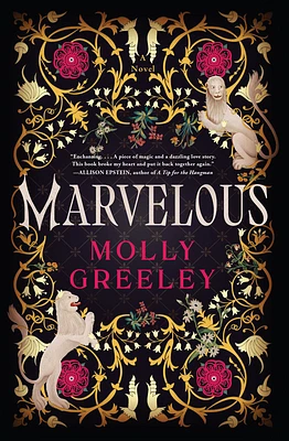 Marvelous: A Novel of Wonder and Romance in the French Royal Court (Hardcover)