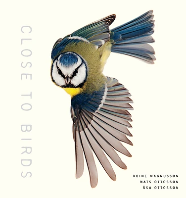 Close to Birds: An Intimate Look at Our Feathered Friends (Hardcover)