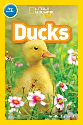 Ducks (National Geographic Kids Readers, Pre-Reader) (Paperback)