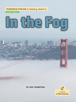 In the Fog (Paperback)