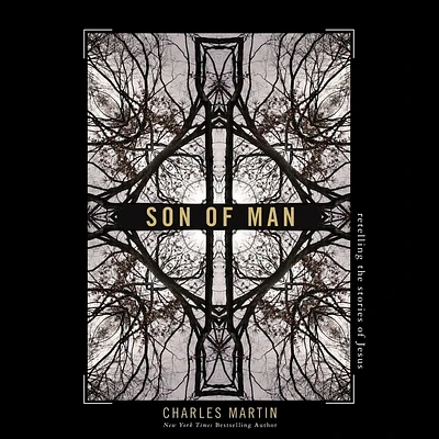 Son of Man: Retelling the Stories of Jesus (MP3 CD)