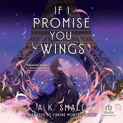 If I Promise You Wings (Compact Disc)