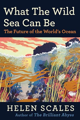 What the Wild Sea Can Be: The Future of the World's Ocean (Paperback)