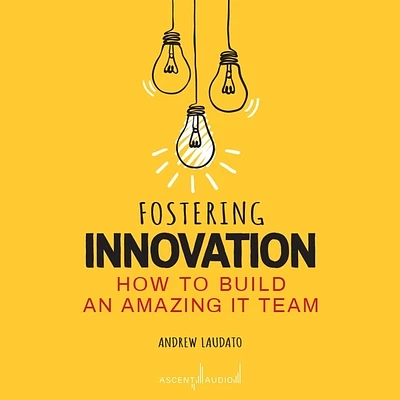 Fostering Innovation: How to Build an Amazing It Team (Compact Disc)