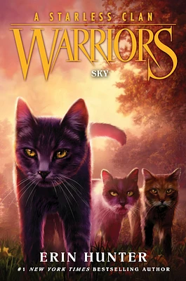 Warriors: A Starless Clan #2: Sky (Hardcover)