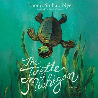 The Turtle of Michigan (Compact Disc)