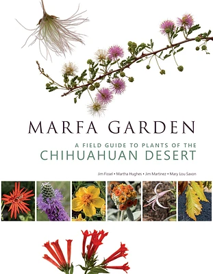 Marfa Garden: A Field Guide to Plants of the Chihuahuan Desert (Paperback)