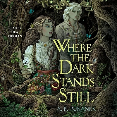 Where the Dark Stands Still (Compact Disc)