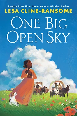 One Big Open Sky (Hardcover)