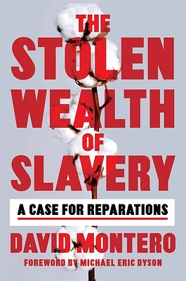 The Stolen Wealth of Slavery: A Case for Reparations (Hardcover)