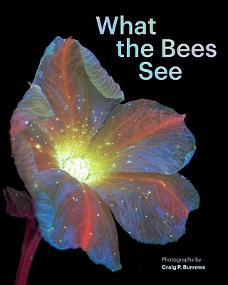 What the Bees See: A Honeybee's Eye View of the World (Hardcover)