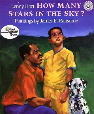 How Many Stars in the Sky? (Paperback)