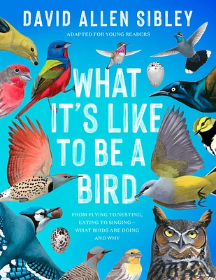 What It's Like to Be a Bird (Adapted for Young Readers): From Flying to Nesting, Eating to Singing--What Birds Are Doing and Why (Hardcover)