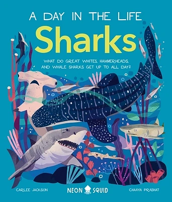 Sharks (A Day in the Life): What Do Great Whites, Hammerheads, and Whale Sharks Get Up To All Day? (Hardcover)