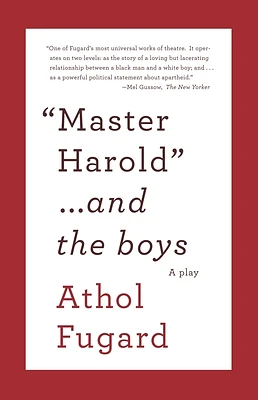 MASTER HAROLD AND THE BOYS: A Play (Vintage International) (Paperback)