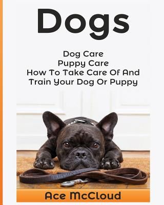 Dogs: Dog Care: Puppy Care: How to Take Care of and Train Your Dog or Puppy