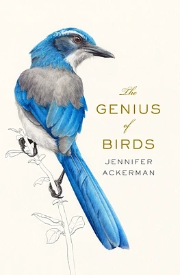 The Genius of Birds (Hardcover)