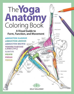 Yoga Anatomy Coloring Book: A Visual Guide to Form, Function, and Movement - An Educational Anatomy Coloring Book for Medical Students, Yoga Teach (Paperback)