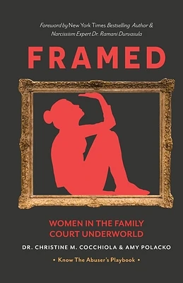 Framed: Women in the Family Court Underworld (Paperback)