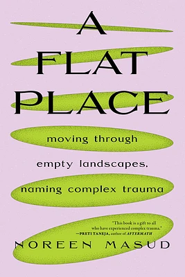 A Flat Place: Moving Through Empty Landscapes, Naming Complex Trauma (Paperback)