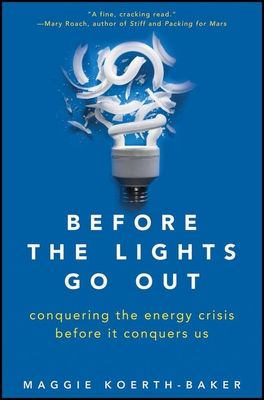 Before the Lights Go Out: Conquering the Energy Crisis Before It Conquers Us (Hardcover)