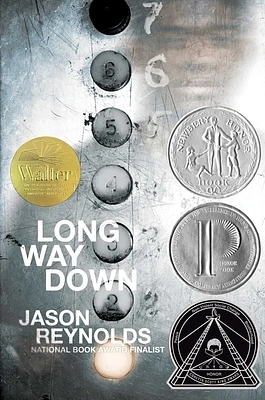 Long Way Down (Hardcover)