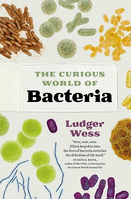 The Curious World of Bacteria (Hardcover)