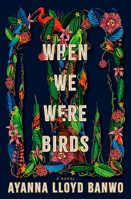 When We Were Birds: A Novel (Hardcover)