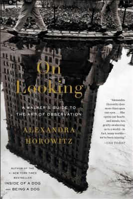 On Looking: A Walker's Guide to the Art of Observation (Paperback)