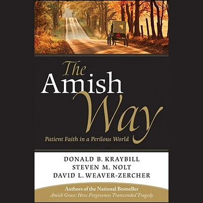 The Amish Way: Patient Faith in a Perilous World (Compact Disc)