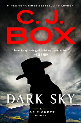 Dark Sky (A Joe Pickett Novel #21) (Hardcover)