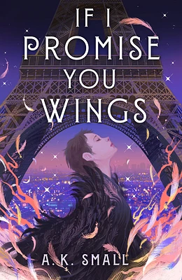 If I Promise You Wings (Hardcover)