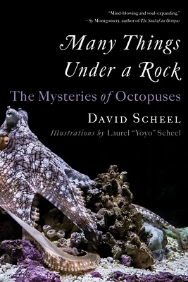 Many Things Under a Rock: The Mysteries of Octopuses (Paperback)