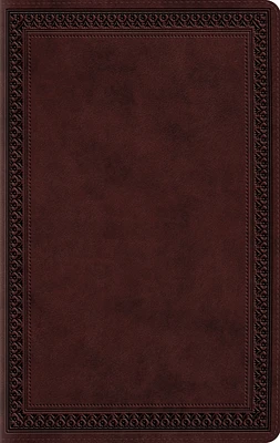 Large Print Value Thinline Bible-ESV-Border Design (Large Print / Imitation Leather)