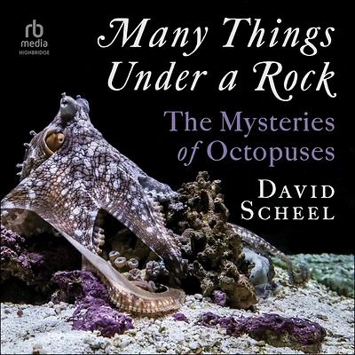 Many Things Under a Rock: The Mysteries of Octopuses (MP3 CD)