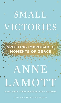 Small Victories: Spotting Improbable Moments of Grace (Hardcover)