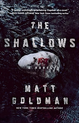 The Shallows: A Nils Shapiro Novel (Paperback)