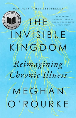 The Invisible Kingdom: Reimagining Chronic Illness (Paperback)